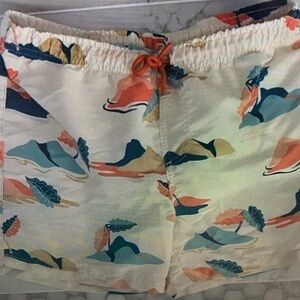 Colorful Kids Swim Trunks